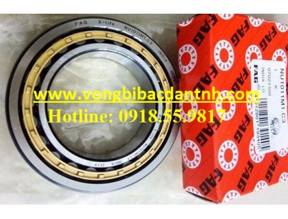 VÒNG BI NU1011M1.C3 FAG